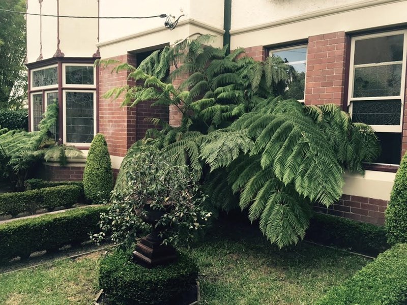 449 Darling Street, Balmain NSW 2041