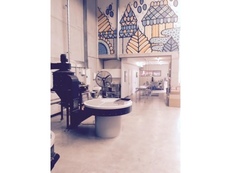 6/49 Carrington Road, Marrickville NSW 2204