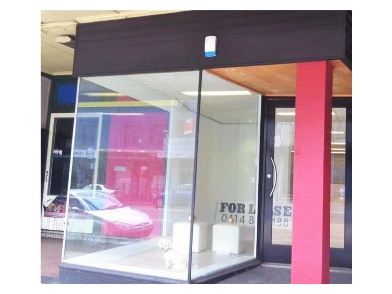 428 Parramatta Road, Petersham NSW 2049