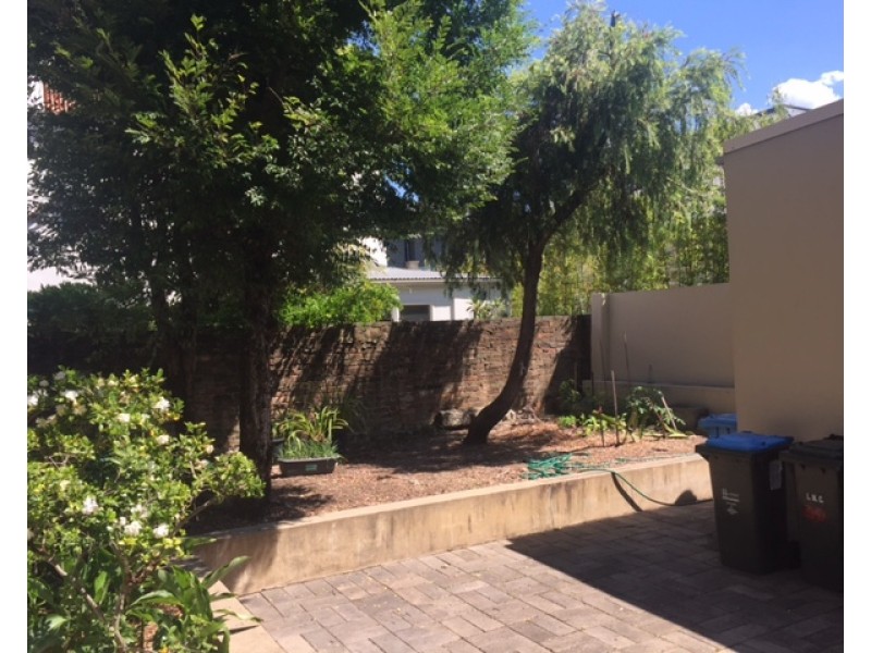 66 Darling Street, Balmain East NSW 2041