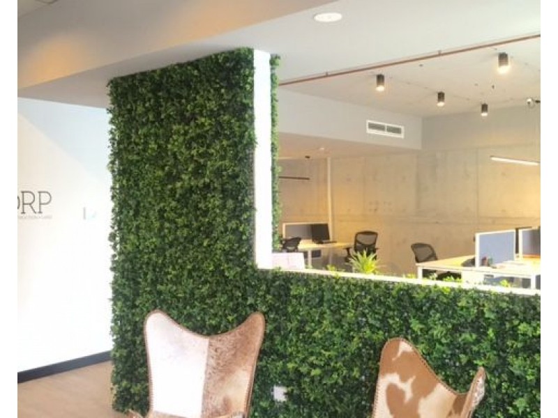 1R/104 Elliott Street, Balmain NSW 2041