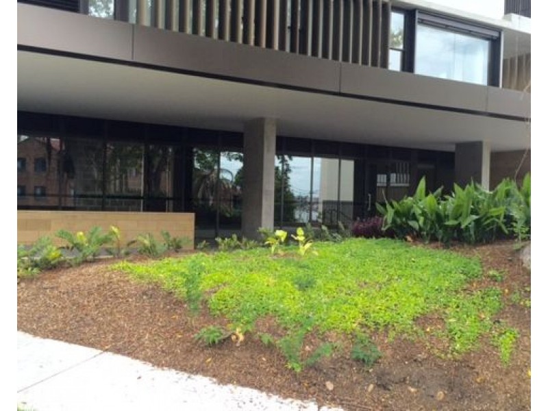 1R/100 Elliott Street, Balmain NSW 2041