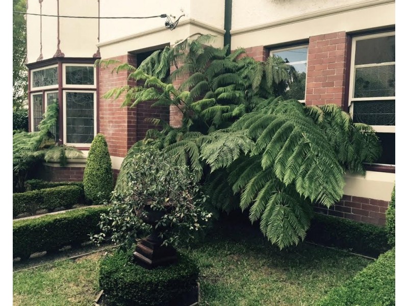 Room 449 Darling Street, Balmain NSW 2041