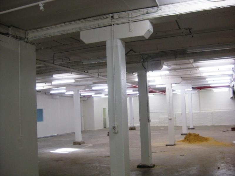 16 Susan Street, Annandale NSW 2038