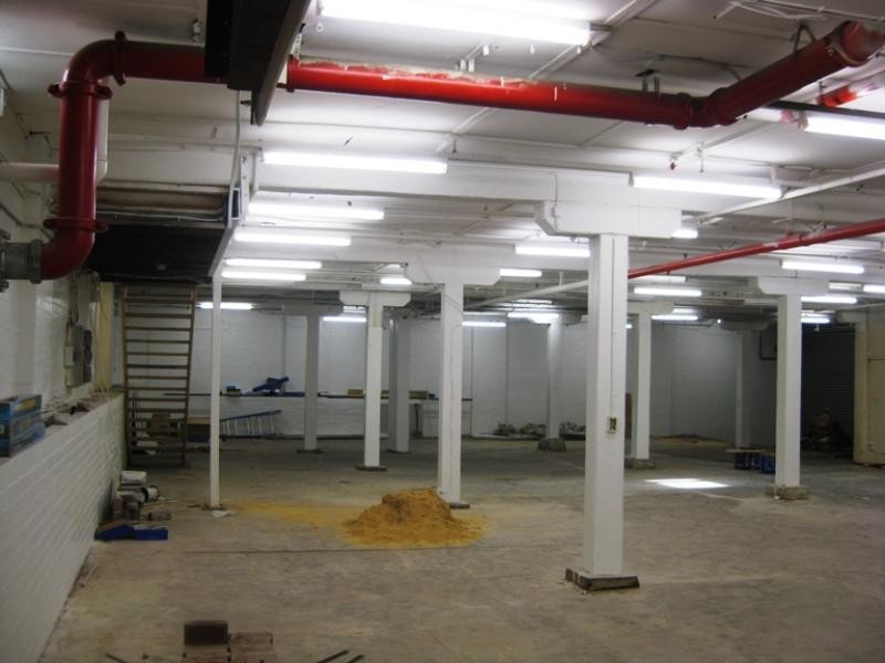 16 Susan Street, Annandale NSW 2038