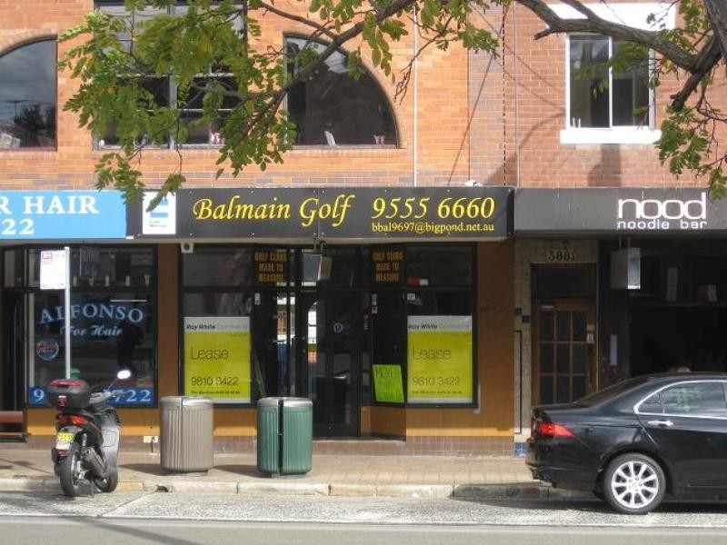 386 Darling Street, Balmain NSW 2041