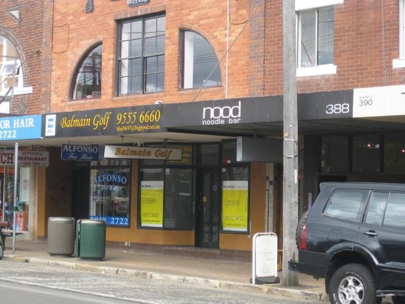 386 Darling Street, Balmain NSW 2041