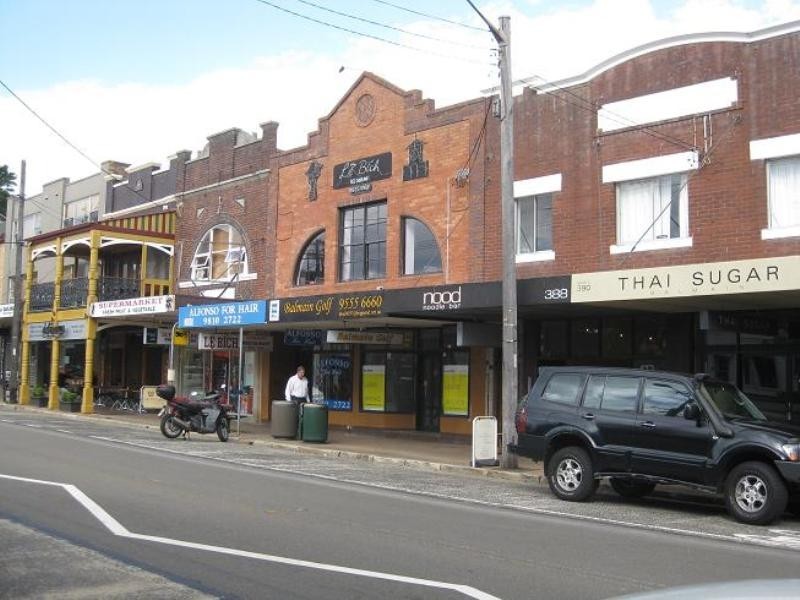 386 Darling Street, Balmain NSW 2041