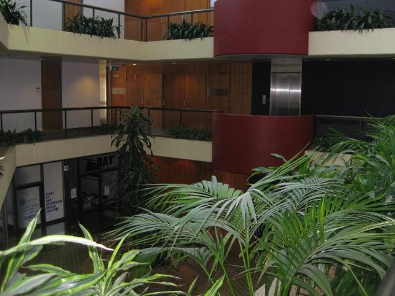 14/2 Beattie Street, Balmain NSW 2041