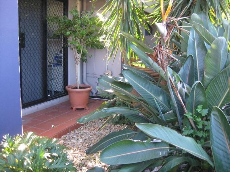 67 Justin Street, Lilyfield NSW 2040