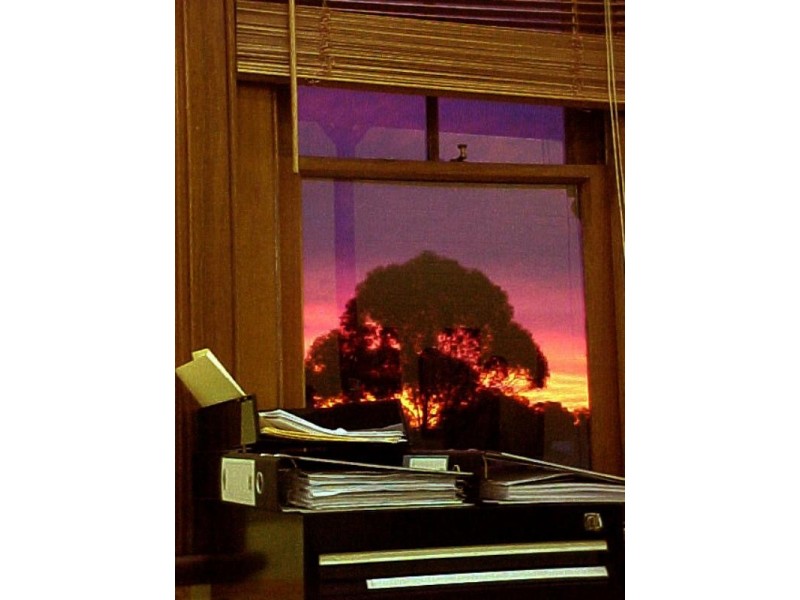 102 Beattie Street, Balmain NSW 2041