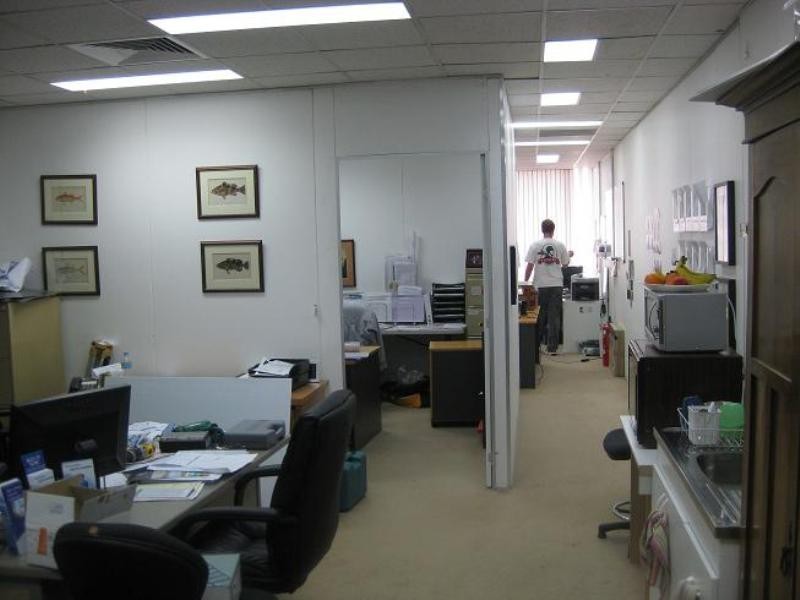 104 Victoria Road, Rozelle NSW 2039