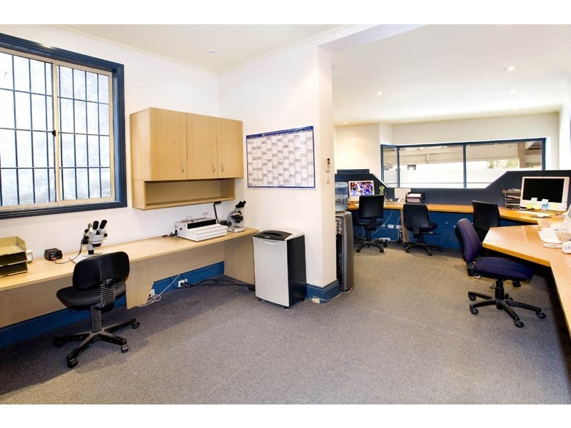 93 Beattie Street, Balmain NSW 2041