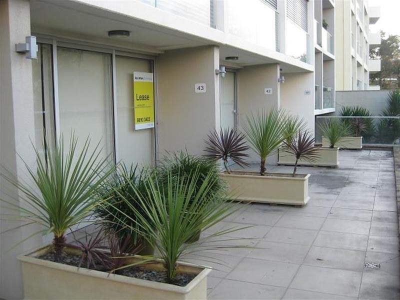 Suite 43/5-13 Larkin Street, Camperdown NSW 2050