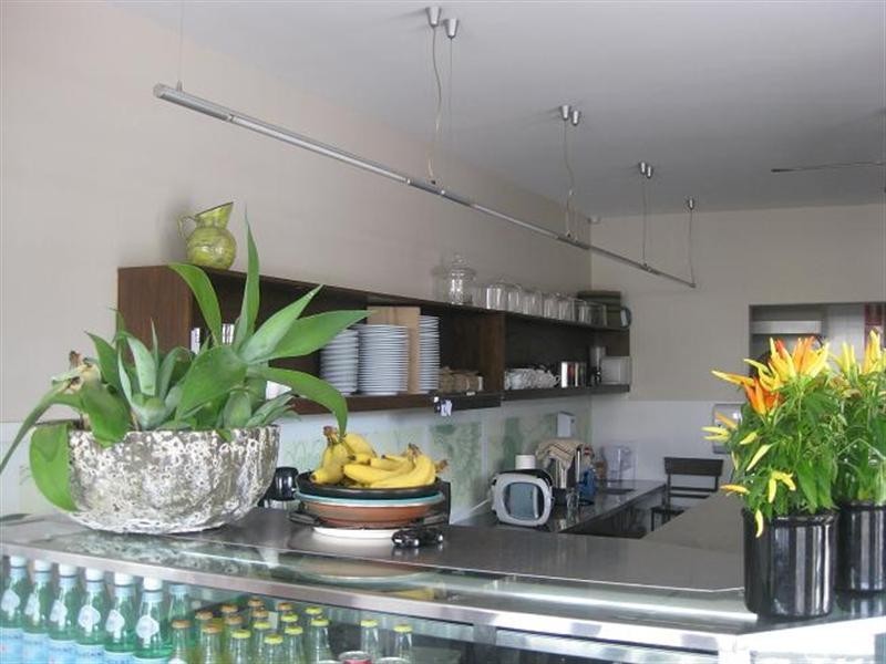 58 Darling Street, Balmain NSW 2041