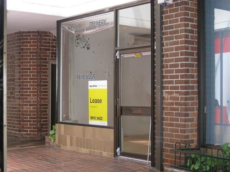 3/308 Darling Street, Balmain NSW 2041