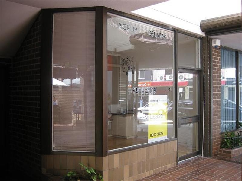 3/308 Darling Street, Balmain NSW 2041