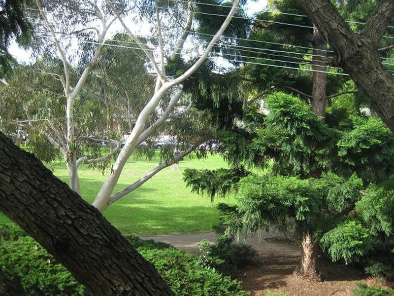 Terrace/141 Beattie Street, Balmain NSW 2041