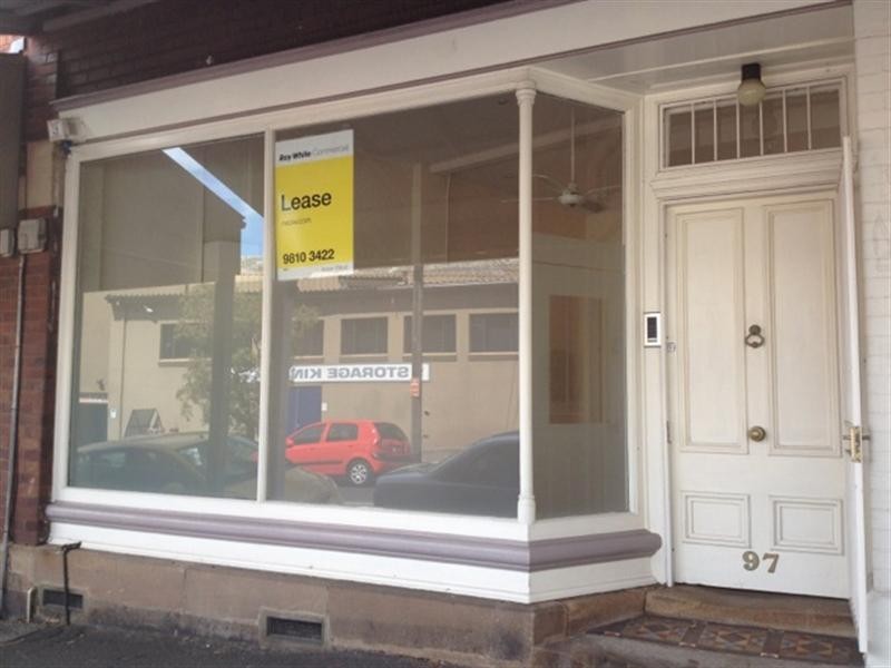 97 Beattie Street, Balmain NSW 2041