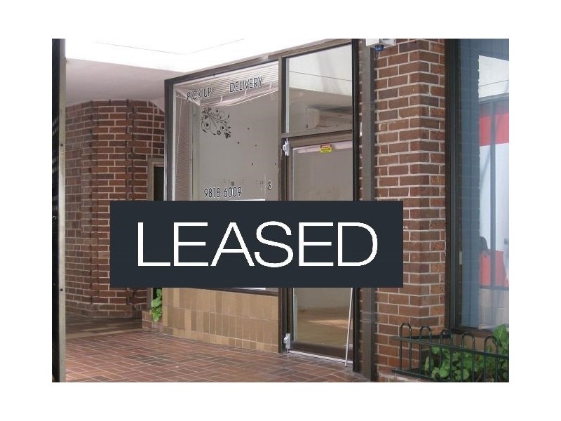 3/308 Darling Street, Balmain NSW 2041