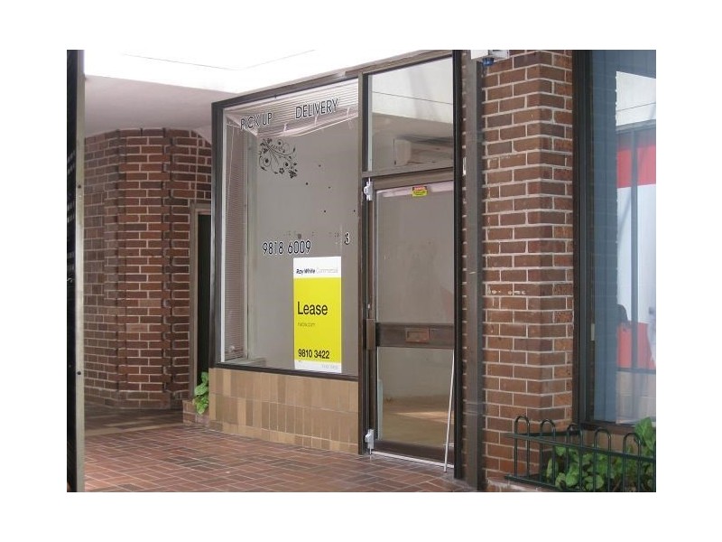 3/308 Darling Street, Balmain NSW 2041