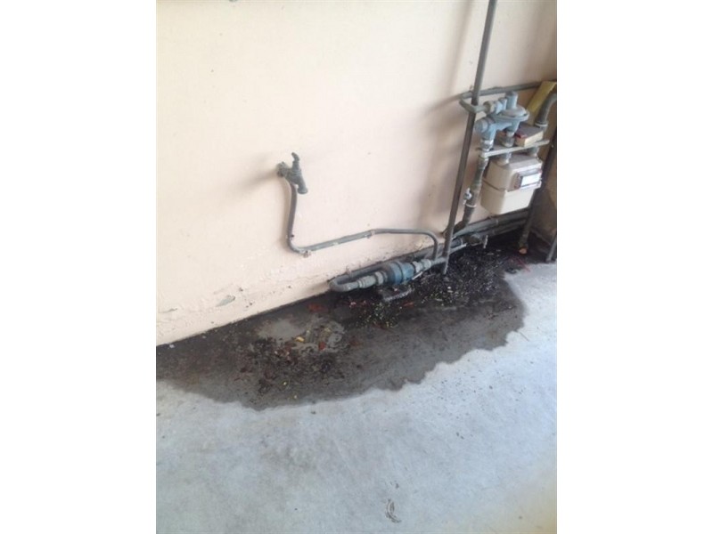 51 Darling Street, Balmain NSW 2041