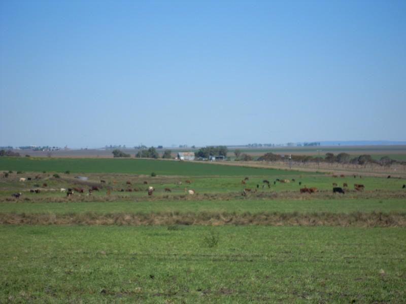 00 Matthews Rd, Mt Moriah, Jondaryan QLD 4403