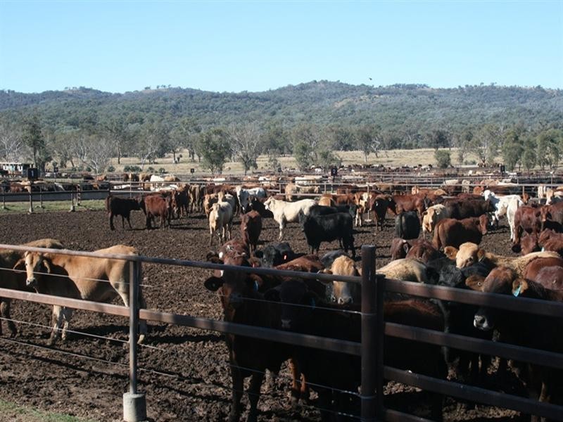 629 Rodgers Creek Road, Warwick QLD 4370