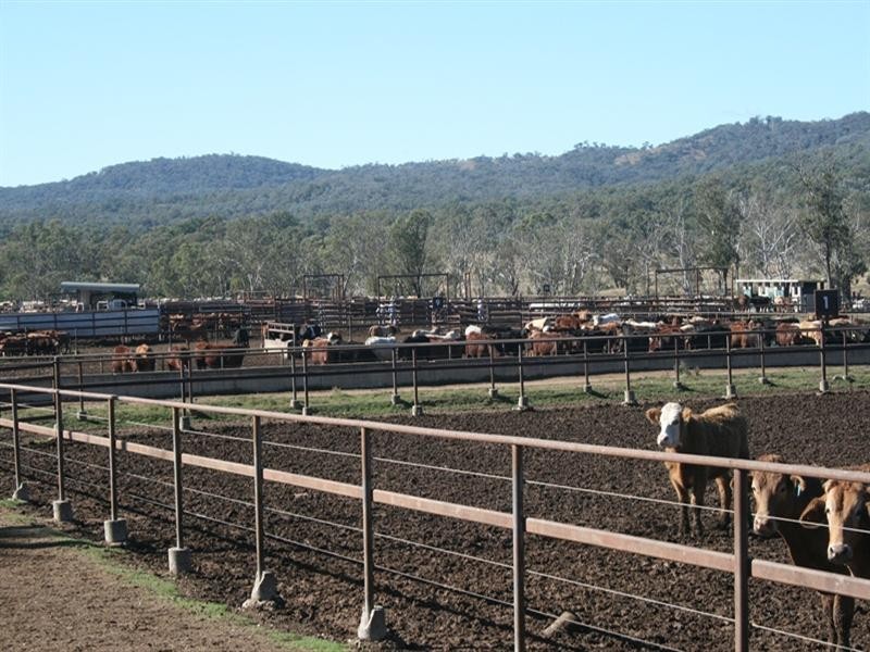 629 Rodgers Creek Road, Warwick QLD 4370