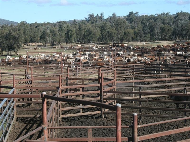 629 Rodgers Creek Road, Warwick QLD 4370