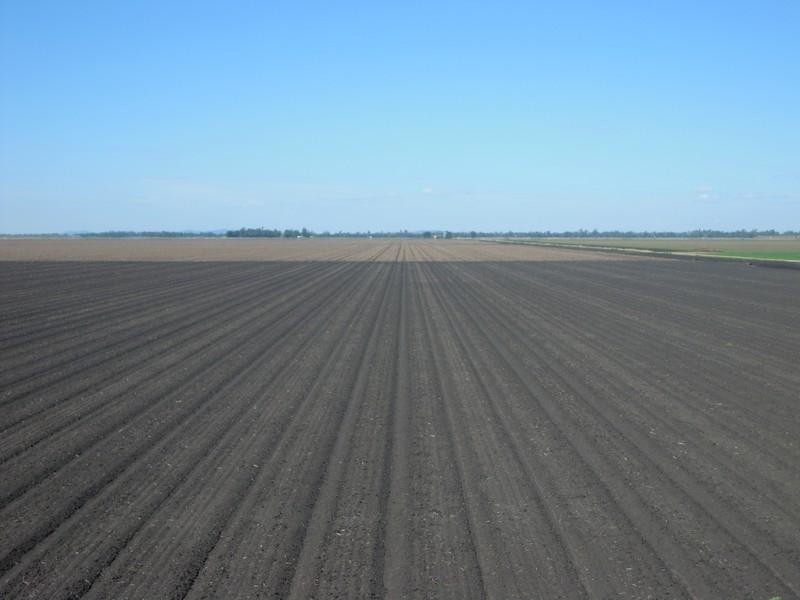 6388 Gore Highway, Pittsworth QLD 4356