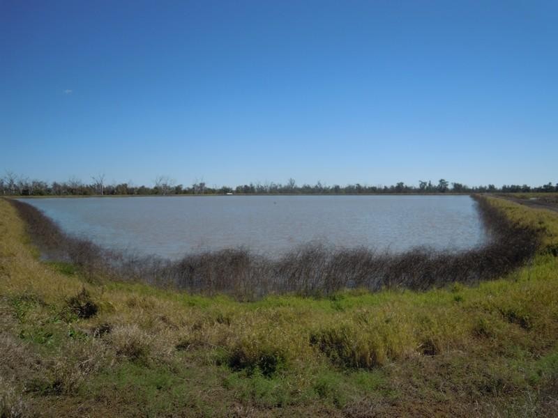 6388 Gore Highway, Pittsworth QLD 4356