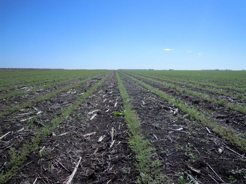 6388 Gore Highway, Pittsworth QLD 4356