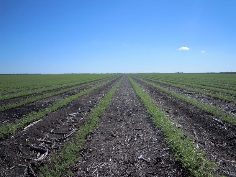 6388 Gore Highway, Pittsworth QLD 4356