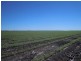 6388 Gore Highway, Pittsworth QLD 4356