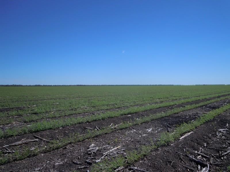 6388 Gore Highway, Pittsworth QLD 4356