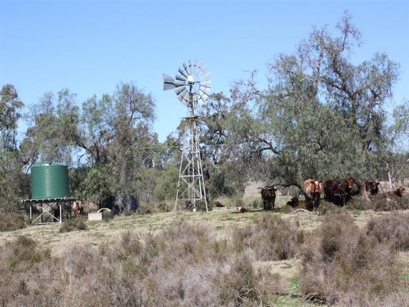 77 Goombungee Dam Road, Goombungee QLD 4354