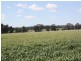 396 Evanslea Road, Pittsworth QLD 4356