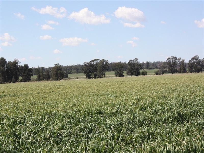 396 Evanslea Road, Pittsworth QLD 4356