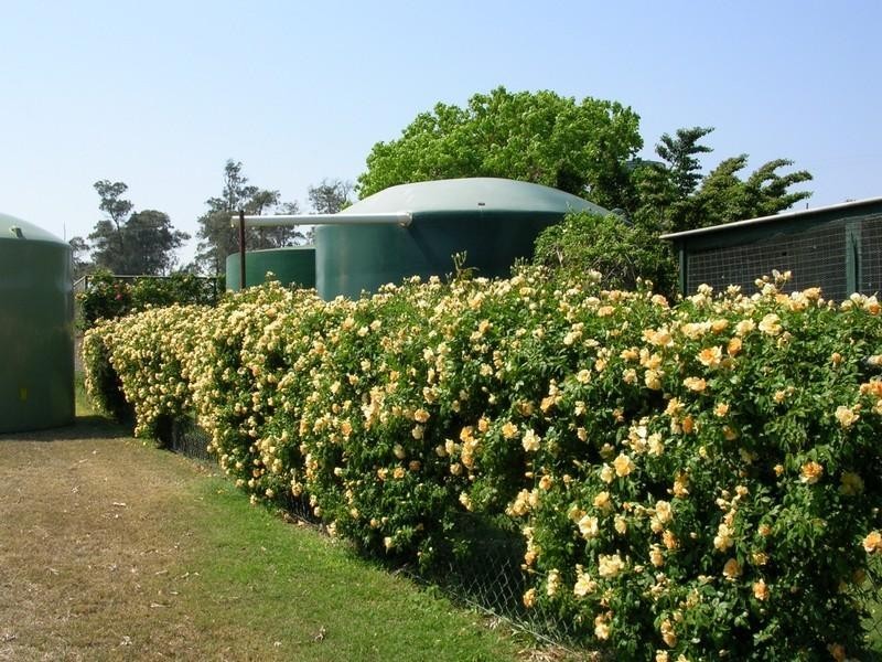 396 Evanslea Road, Pittsworth QLD 4356