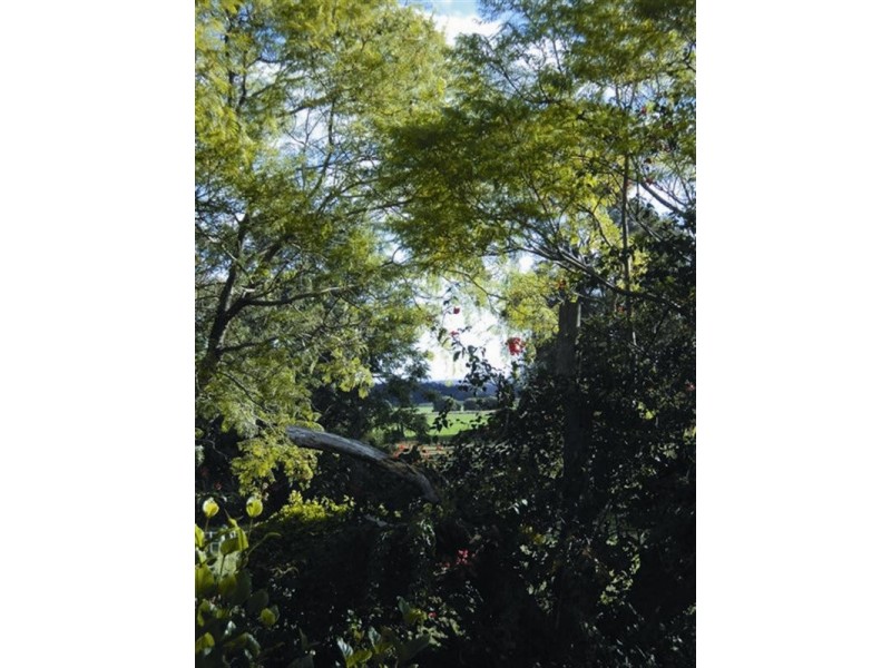 396 Evanslea Road, Pittsworth QLD 4356