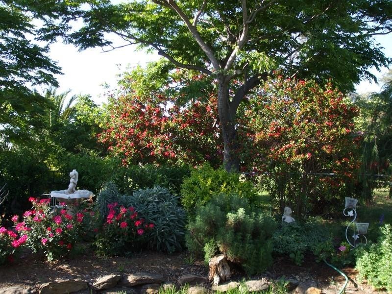 396 Evanslea Road, Pittsworth QLD 4356