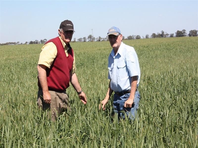 396 Evanslea Road, Pittsworth QLD 4356