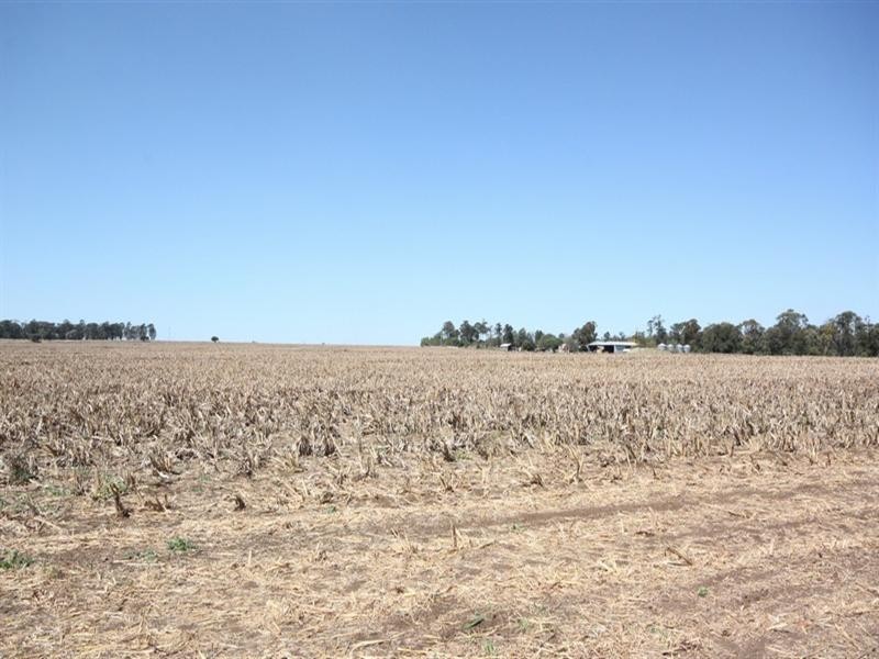 396 Evanslea Road, Pittsworth QLD 4356