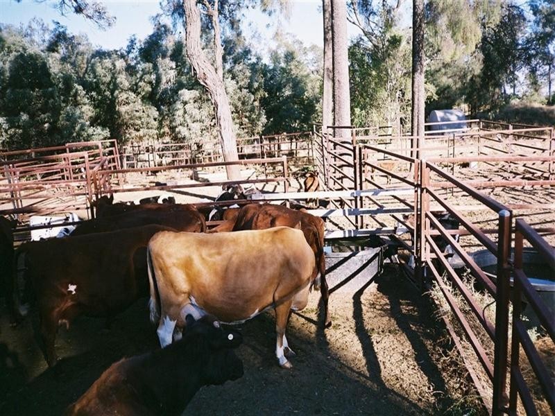 396 Evanslea Road, Pittsworth QLD 4356