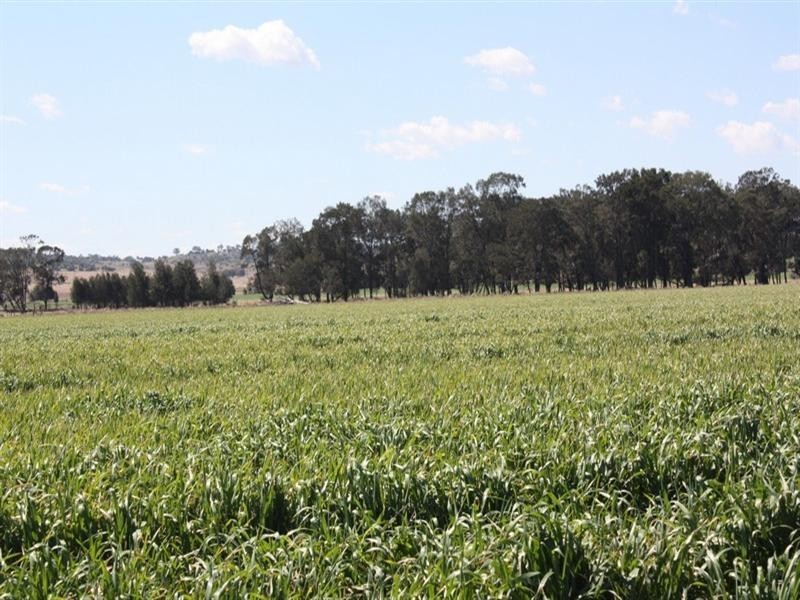 0 Evanslea Road, Pittsworth QLD 4356