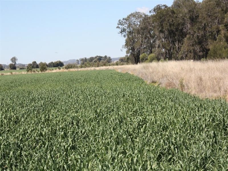 0 Evanslea Road, Pittsworth QLD 4356