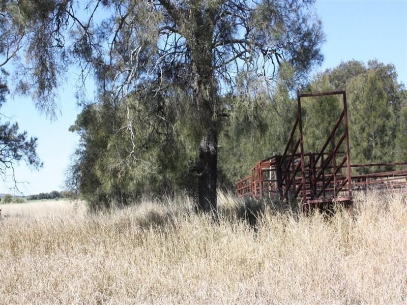 0 Evanslea Road, Pittsworth QLD 4356