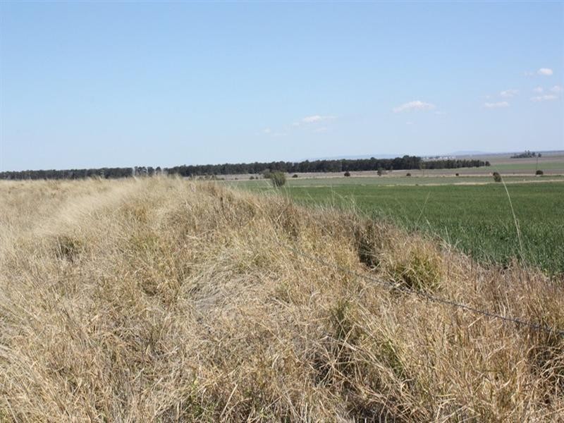 0 Petersen Road, Pittsworth QLD 4356