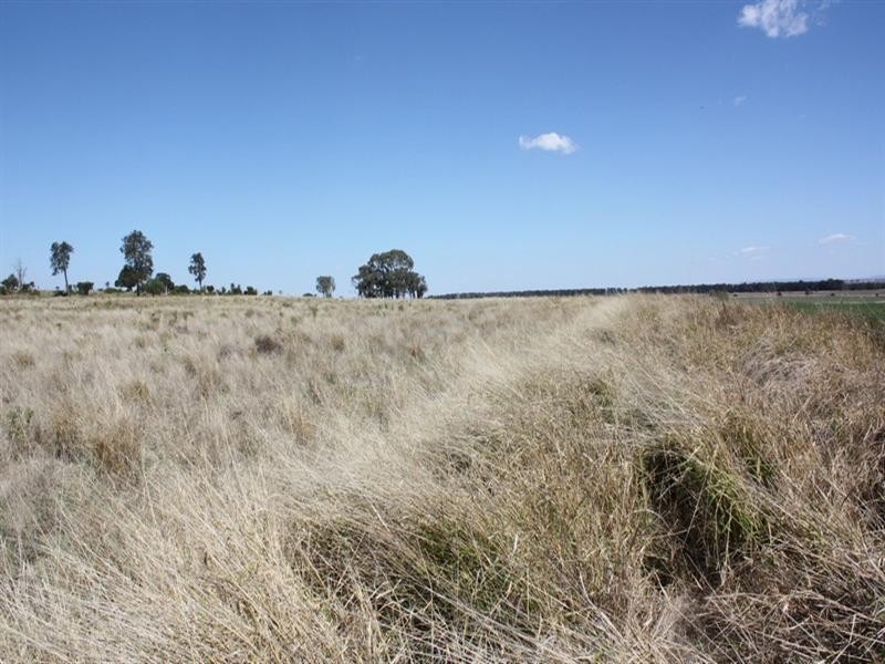 0 Petersen Road, Pittsworth QLD 4356